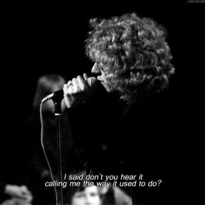 robert plant,music,black and white,vintage,song,singing,singer,band,led zeppelin,babe im gonna leave you,i said dont you hear it calling me the way it used to do