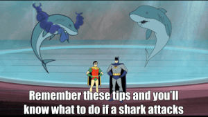 quote,cartoons,tips,shark attack