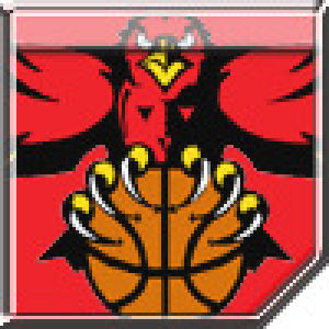 basketball,nba,atlanta hawks,logo