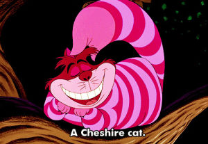 alice in wonderland,cheshire cat,surprised,disney,yes,confused,agree,huh,nod,disney challenge