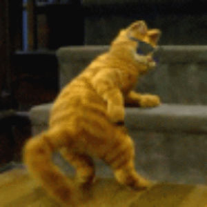 dancing,garfield,happy friday,cat dancing,garfield dancing,cat
