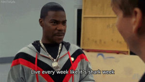 week,zombie,stuff,shark,sleep,thanks,sharks,shark week,bustle,nightmares,deprivation