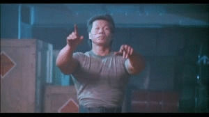 bolo yeung,kung fu,bodybuilding,fitness
