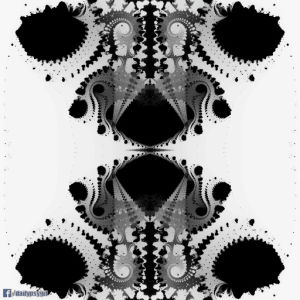 fractal,transform,loop,black,white,zoom,movement,effect,scale,gray,distort
