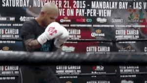 boxing,cotto,cottocanelo,miguelcotto,rocnationsports,warcotto