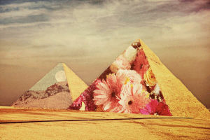 pyramid,sun,flowers,skull,desert,egypt