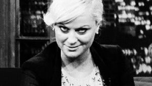 amy poehler,parks and recreation,saturday night live,late night