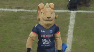 rugby,buky,wave,mascot,grenoble,fcg,mascotte