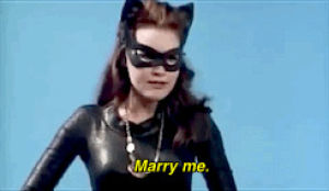 catwoman,batman,robin