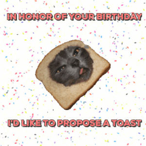 happy birthday,toast,pun
