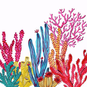 coral,fish,ocean,swimming,tropical,sea horse,carribean,water,nature,sea,swim