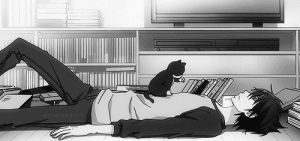 anime,manga,kawaii,cat,boy