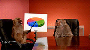 office monkey,presentation,baboon,monkey,chart,charts