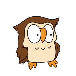 angry,owl,mad,transparent,animals,frustrated,pissed