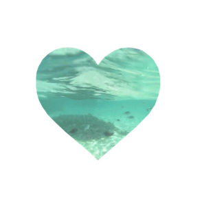 ocean,paradise,love,cute,nature,heart,adorable,beauiful,ocean water,water,waves