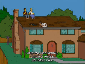 homer simpson,episode 16,talking,season 16,bored,listening,16x16,sitting on roof