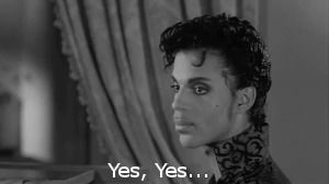 prince,yes,nodding yes,confirm,nod yes