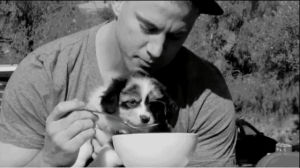 channing tatum,dog,animals,black and white,puppy,eating,drinking,cereal,cpoon