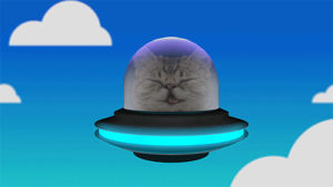 alien,ufo,meow,cat,space,blue,white,sky,flying,spaceship
