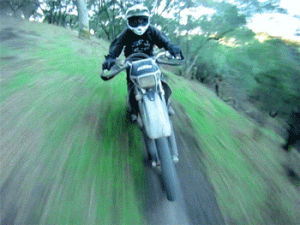 motorcycle,endless,dirt bike,transportation,forest ride