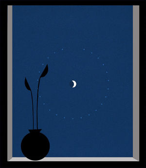 moon,noche,plant,luna,gifart,art,nature,night,sky,window,base,maceta,danielbarreto