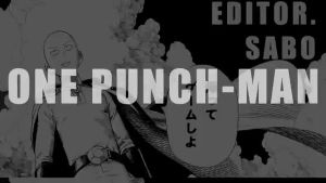 one punch man,opm,onepunch man