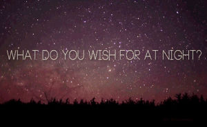 pretty,beautiful,quote,night,stars,sky,trees,dreams,dreaming,wish,diary,shooting star