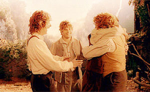 fellowship of the ring,movies,sam,queue,the lord of the rings,our,merry,frodo,elise,pippin,hobbits