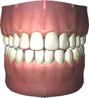 teeth,3d,transparent,transparency