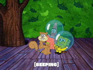 spongebob squarepants,season 5,episode 10,a flea in her dome