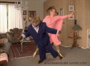 cat,dancing,bjork,i mean really