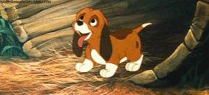puppy,animation,happy,dog,disney,cartoon,excited,copper,the fox and the hound