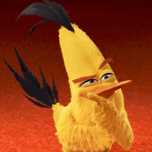 thinking,angry birds,what,hmm,no,seriously,thought,bird,the angry birds movie,chuck