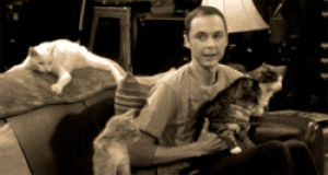 forever alone,sheldon cooper,sheldon,cat,alone,lonely,big bang theory,prom,highschool,lonely life,all the guys are taken,my cat is my date,prom 2013
