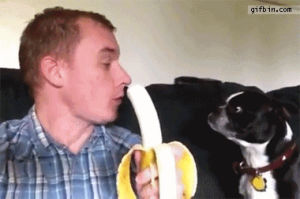 banana,dog