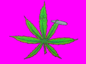 Анимации марихуана tor browser на ipad hydra2web