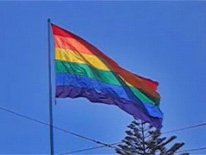 gay,rainbow flag,lgbt