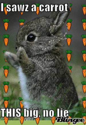 carrot,animals,cute,baby,meme,rabbit,bunny