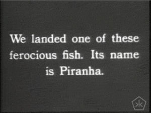 piranha,black and white,vintage,animal,open knowledge,okkult,digital humanities,excerpts,silent movie,1920,digital curatory,nick jensen