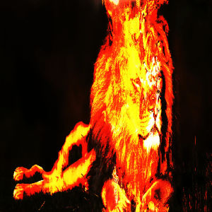 effect,lion,burn,fire,red,flame,loop,animal,photo,king,burning,liquid