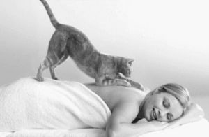 massage,dreaming,bed,cozy,woman,cat,cute,weird,adorable,kitten,dream,calm,the best,comfortable