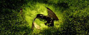 toothless,how to train your dragon,animation,movies,black,dragon,field,hiccup