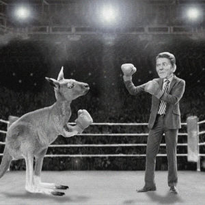 ronald reagan,boxing,fighting,all of presidents,animation,movie,film,black and white,loop,vintage,fight,kangaroo,chris timmons,roo,old timey,bw