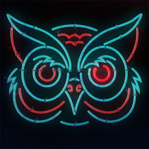 owl,neon,neon lights,bbad,big brother after dark,orwell