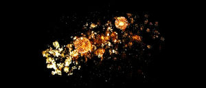 dreaming,firework,love,cute,party,home video,2013,2012,night,old,yeah,new year,party night