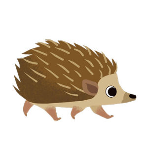 hedgehog,run,spiky,puffin rock,cute,three eyes