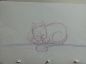 animation,cat,2d,ups,traditional,squash,strech