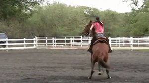 riding,women,horse,bull