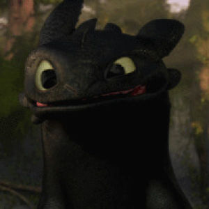 toothless,how to drain your dragon,so cute