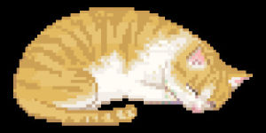 relax,pixel,transparent,cat,kawaii,sweet,sleepy